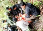 Pentolan KKB Enos Tipagau Tewas Ditembak Satgas Damai Cartenz di Intan Jaya