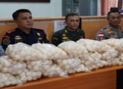 KKP Gagalkan Penyelundupan 5.400 Telur Penyu di Kalimantan Barat, Ungkap Modus dan Jaringan