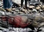 Mencekam! Mayat Tanpa Kepala Terdampar di Kawasan Pantai Cukuh Pandan Tanggamus