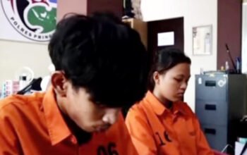Cinta Beracun Pasangan Romantis di Pringsewu, Omzet Puluhan Juta dari Tembakau Setan Cuma Modal Instagram dan Cairan Haram