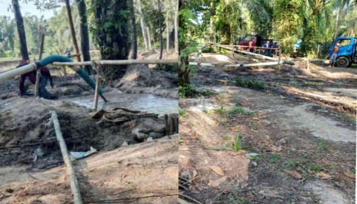 Dalih Cetak Sawah, Tambang Pasir Liar Bebas Beroperasi di Sriminosari Lampung Timur?