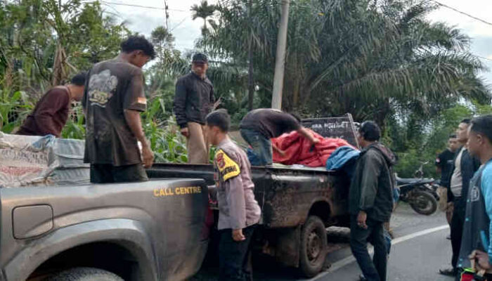 Pencuri Baterai PLTS di Semaka Tertangkap, 85 Aki Diamankan, 3 Pelaku Masih Main Petak Umpet