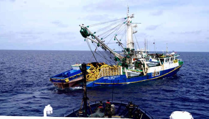 KKP Bekuk “Monster Laut” Filipina, Jaring Seukuran Stadion, Baby Tuna Jadi Korban