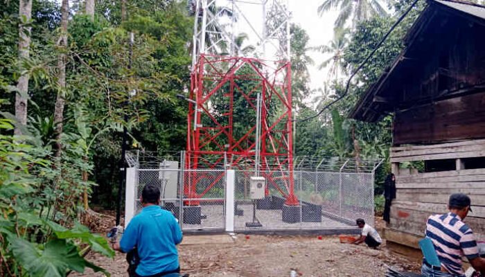 Menara Telekomunikasi Diduga Tak Berizin di Tanggamus, Pemkab Diminta Tegas, Pol PP Siap Segel