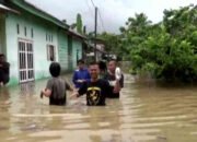 Puluhan Rumah di Pekon Way Liwok Terendam Banjir, Warga Panik Selamatkan Barang Berharga