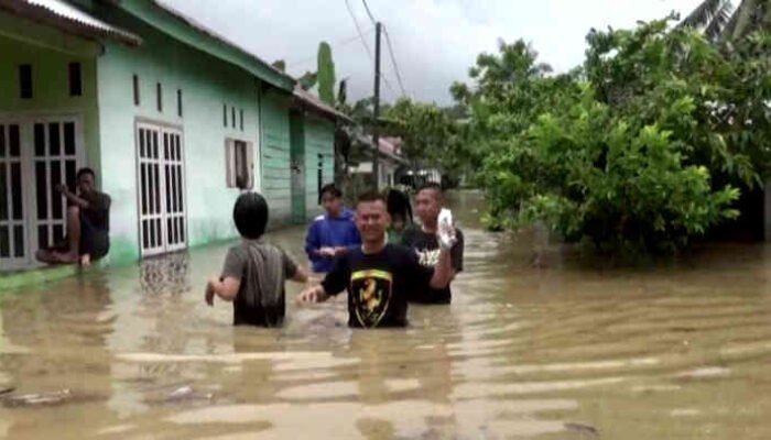Puluhan Rumah di Pekon Way Liwok Terendam Banjir, Warga Panik Selamatkan Barang Berharga