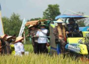 Bupati Lamtim dan Kajati Lampung Luncurkan “Operasi Sawah Nasional” di Desa Telogorejo