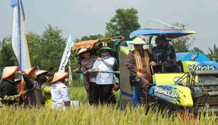 Bupati Lamtim dan Kajati Lampung Luncurkan “Operasi Sawah Nasional” di Desa Telogorejo