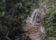 Wisata Hits di Lampung Tengah: Dari Pesona Alam hingga Spot Kekinian