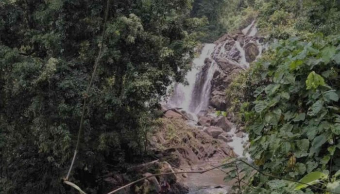 Wisata Hits di Lampung Tengah: Dari Pesona Alam hingga Spot Kekinian