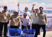 Panen Lobster di Batam: Gibran Pamer Ekonomi Biru, KKP Janji Indonesia Jadi ‘Raja Lobster Dunia’!