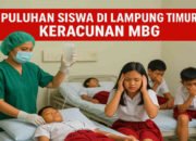 MBG di Lampung Timur: Dari “Makan Bergizi Gratis” Jadi “Makan Bikin Gawat”