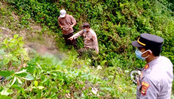 Tragedi di Jalan Rewel, Petani Semaka Ditemukan Tewas di Dasar Jurang