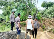 Longsor di Limau Tanggamus Lumpuhkan Akses Jalan, Truk Terjebak di Tengah Reruntuhan
