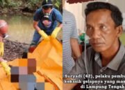 Gegara Minta iPhone Siswi SMK asal Lamtim Tewas Ditangan Kekasih Gelap Beristri