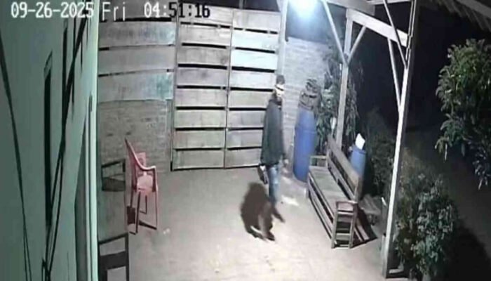 Komplotan Pencuri Gentayangan di Tanggamus: Motor Raib, Kunci Bengkel Pun Ludes