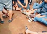 Penggerebekan Sabung Ayam di Cibitung: Ramai Videonya, Sepi Tersangkanya