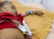 Balita Stunting di Pesawaran: Program Miliaran, Anak Masih Kurang Gizi