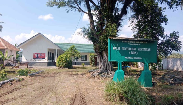 Balai Penyuluhan Pertanian Wonosobo Sunyi Senyap! Petani Ada, Penyuluhnya Entah di Mana?