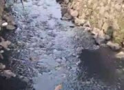 Limbah Pabrik Plastik Diduga Cemari Aliran Air Sumur Batu, Janji Penegakan Hukum yang Sebatas Angin
