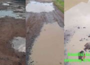 ‘MIRIS!’ Jalan Srimenanti Way Kanan Hancur Lebur, Warga Jerit: “Kolam Ikan Sudah, Jalan Belum!”