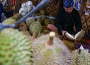 Berburu Durian Baduy, Antara Legitnya Rasa dan Ujian Kesabaran