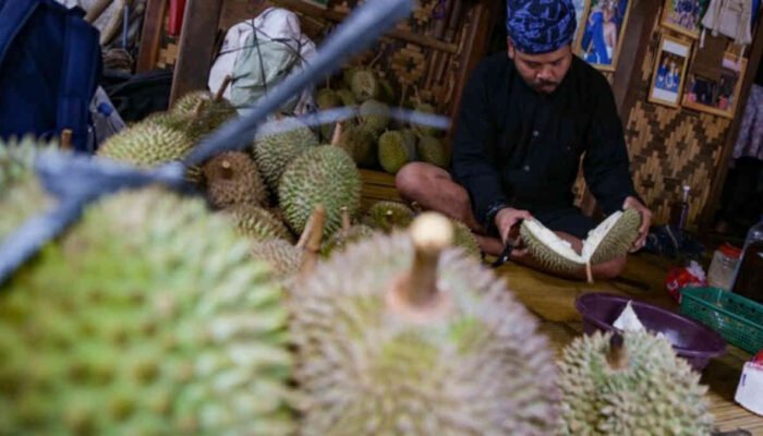 Berburu Durian Baduy, Antara Legitnya Rasa dan Ujian Kesabaran