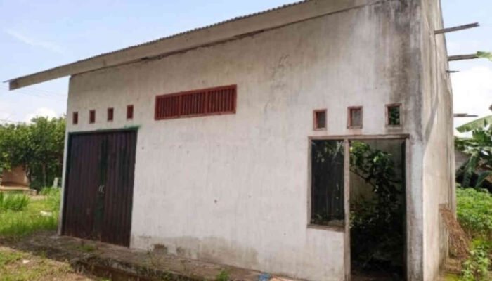 Gudang Gabah Desa Toto Mulyo Mangkrak, Ketua Gapoktan: Dana Dipinjam Anggota Dewan Lamtim?