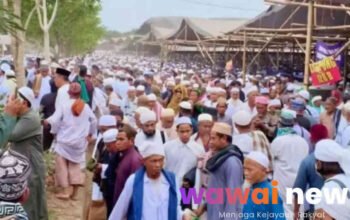 Ijtima Ulama Dunia 2025: Ketika Doa Menjadi Arus Ekonomi Lampung Selatan