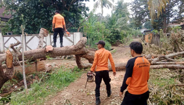 Malam Panik di Sribasuki! Ketika Angin Menyapu, Pemerintah Menjemput