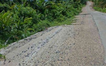 Baru Selesai Dibangun, Begini Penampakan Jalan Simpang Umbar–Putih Doh di Tanggamus