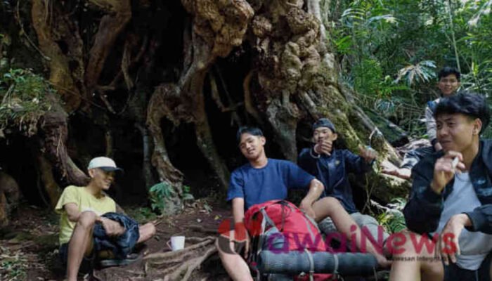 Gunung Tanggamus: Antara Mistis, Lelah, dan Cinta Alam yang Tak Pernah Selesai