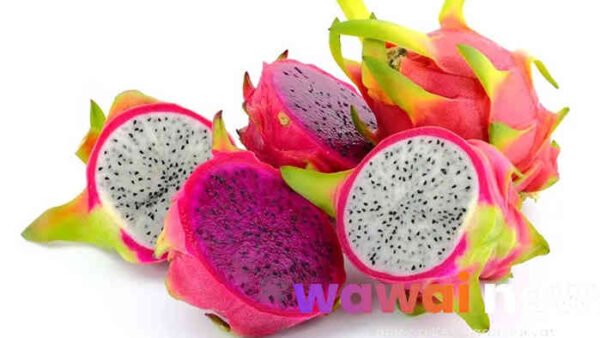 Buah Naga, Pilihan Cerdas untuk Sarapan Sehat dan Seimbang