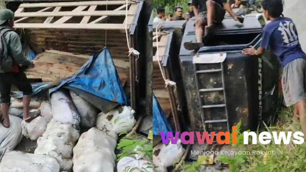 Pickup Bermuatan Batu Bara Terguling di Sukajaya, Video Viral Dihapus, Dugaan Tambang Ilegal Menguat