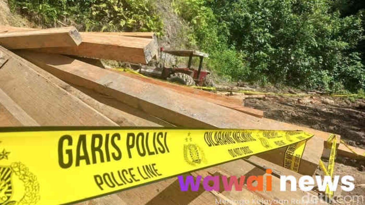 Polda Lampung Pasang Police Line di Pesisir Barat: Hutan Sahbardong Akhirnya ‘Bernapas’, Alat Berat Ikut Dikandangkan