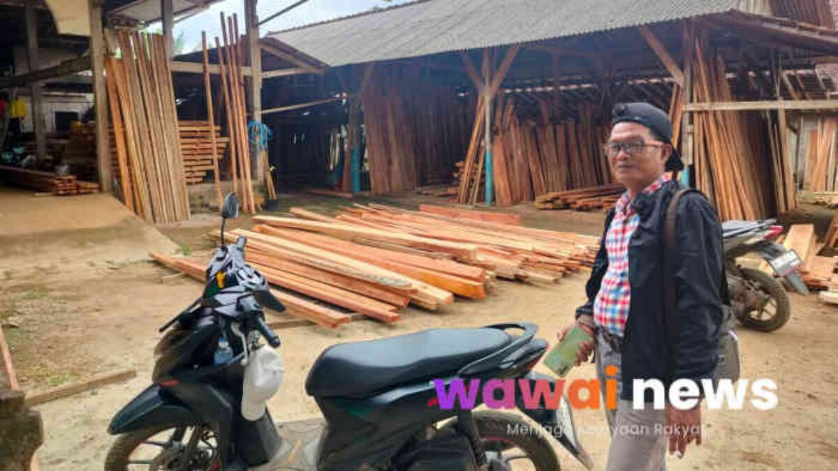 Perambahan Register 38 Kian Terbuka, Kayu Hilang, Aparat Seolah Tak Ada