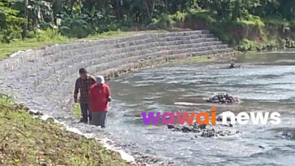 Bronjong Ala Sulap di Tanggamus: Tinggi Kurang, Batu Palsu, Plang Pun Menghilang?