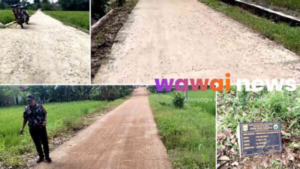 Belum Genap Setahun, Rabat Beton Ratusan Juta di Sido Rahayu Mengelupas, Bau Proyek Asal Jadi Menguar