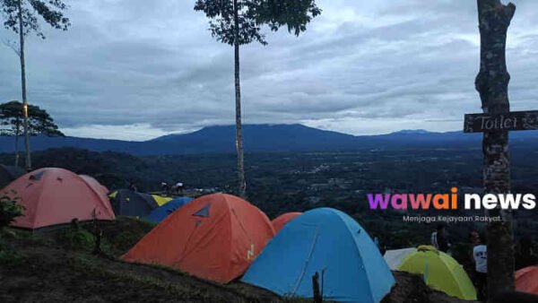 Bukit Embun Lampung Barat, Negeri di Atas Awan yang Tak Pernah Janji Tapi Sering Menepati
