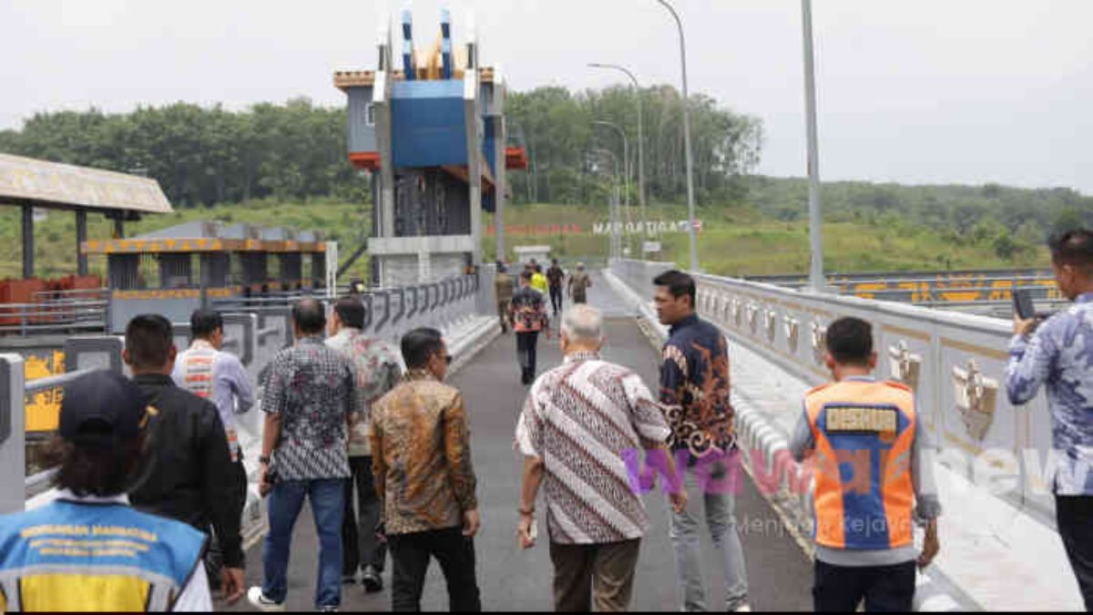 Investor Asing Bidik PLTS dan Dermaga di Lampung Timur
