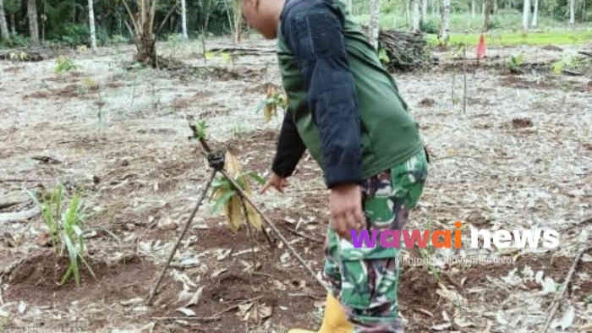 Jejak Dikira Harimau Bikin Warga Panik, Ahli: Itu Bukan Harimau