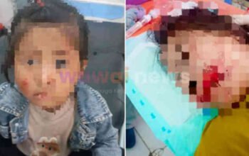 Polres Tanggamus Selidiki Kasus Jambret Ibu dan Balita di Depan Masjid Way Gelang