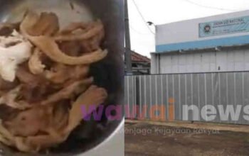 Ayam Suir MBG Diduga Basi Jadi Pemicu Mual Massal di Lampung Timur