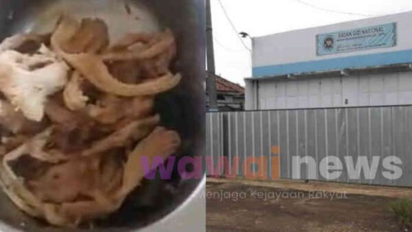 Ayam Suir MBG Diduga Basi Jadi Pemicu Mual Massal di Lampung Timur