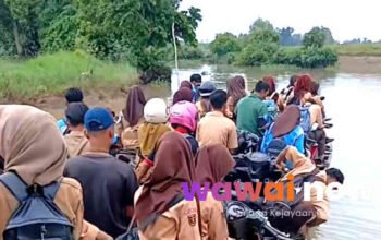 Viral Dulu Baru Kerja: Jembatan Way Bungur Diambil Pusat Rp80 M