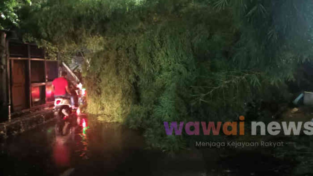 Hujan dan Angin Pagi di Bekasi: Pohon Tua Tumbang, Warga Diimbau Tak Berteduh Sembarangan