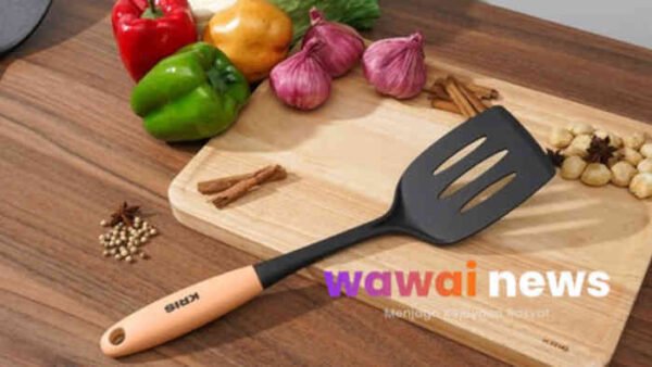 Jenis-Jenis Spatula dan Kegunaannya