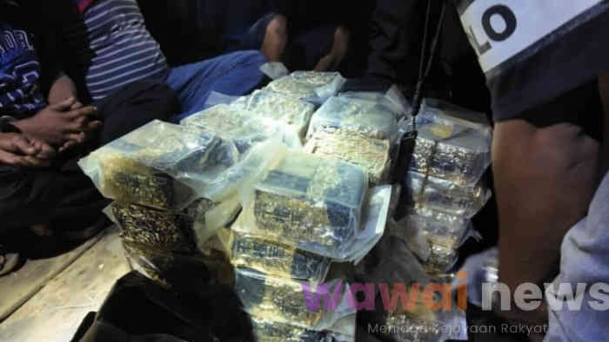 Sabu 122 Kg Disamarkan di Jengkol, Jaringan Narkoba Dibekuk di Bakauheni