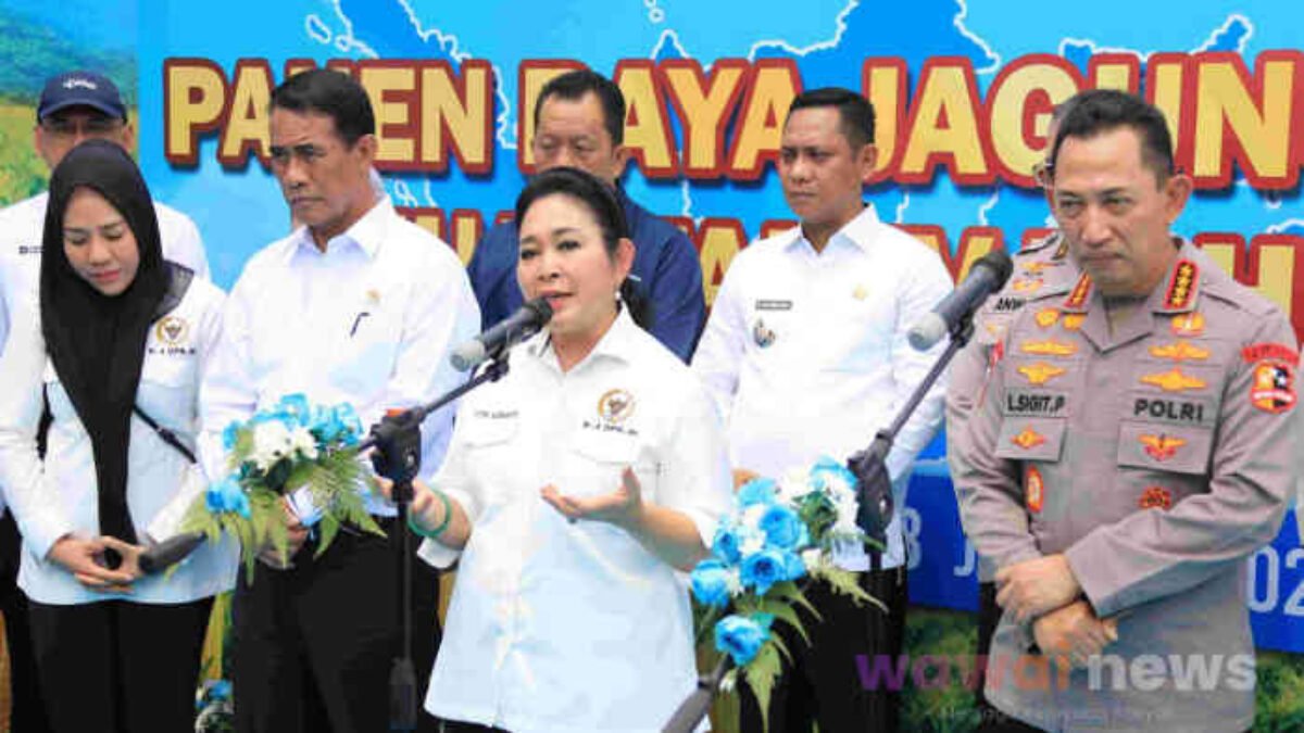 Titiek Soeharto Soroti Surplus Jagung, Bekasi Jadi Simbol Swasembada