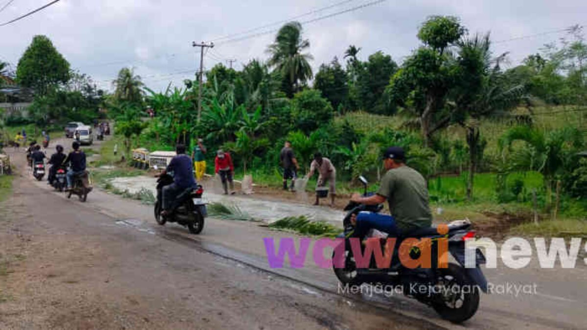 Warga Pugung Tambal Jalan Provinsi, Pemerintah Tambal Janji